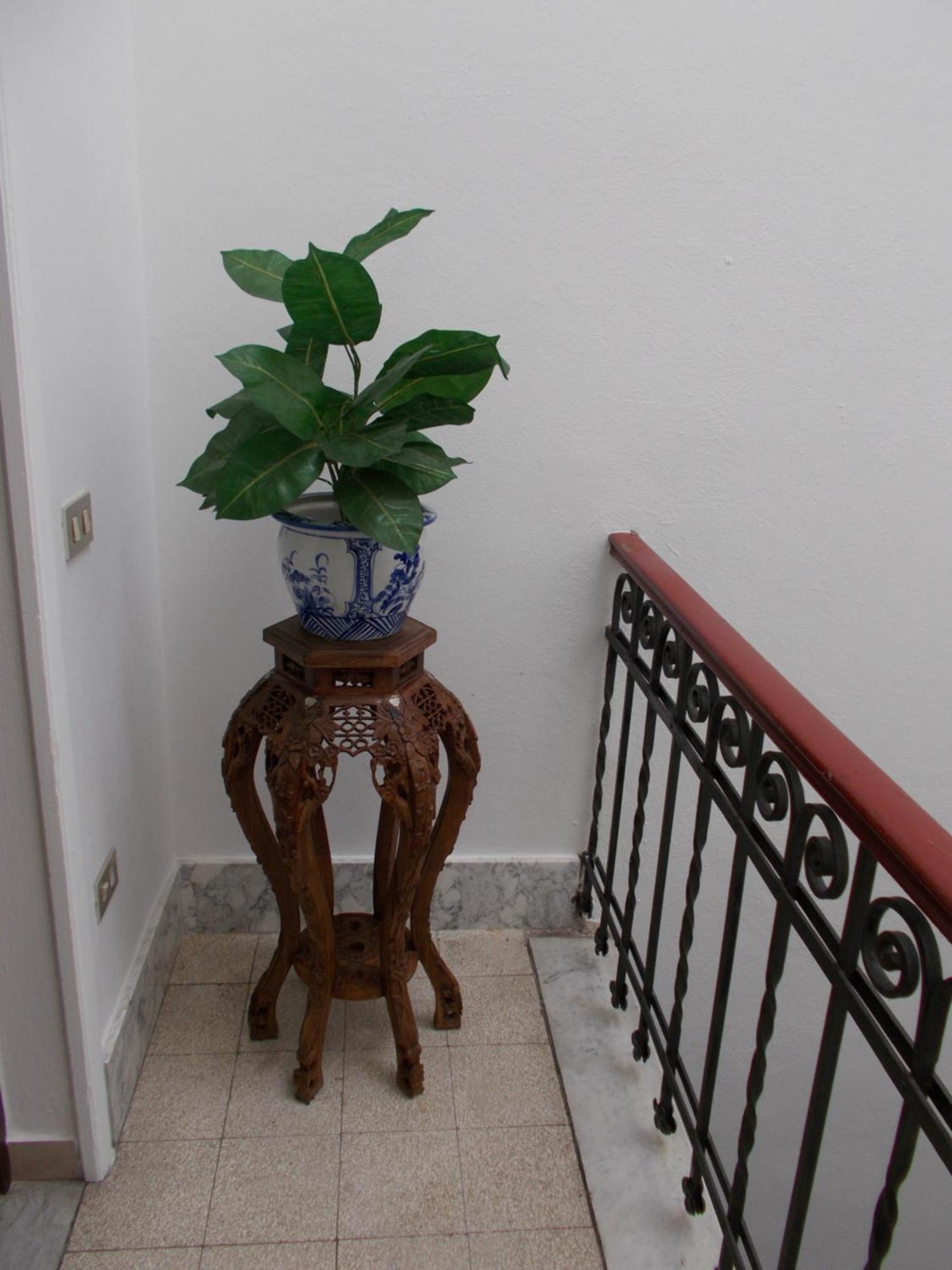 Villa Alba Pisa Exteriör bild